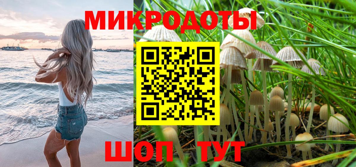закладки  Псилоцибиновые грибы Magic Shrooms  Вход с VPN  Галлюциногенные грибы MAGIC MUSHROOMS  Дмитров 